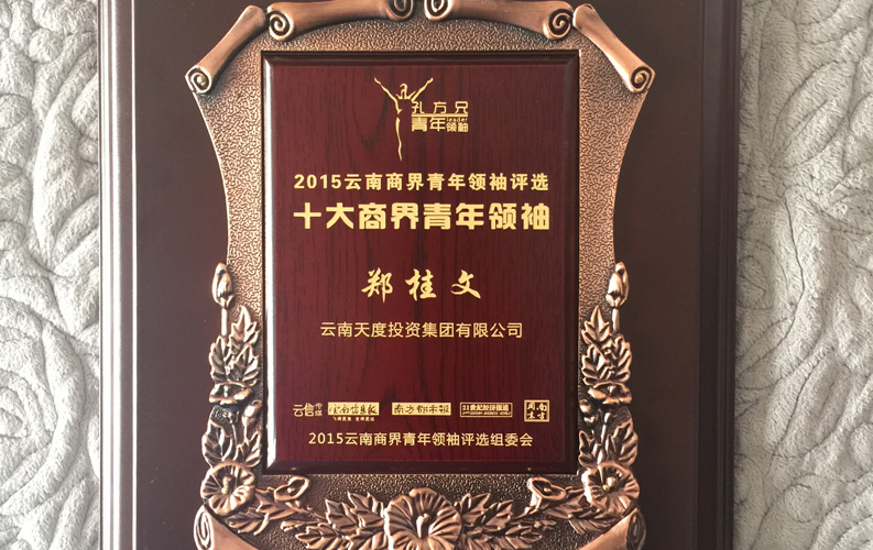 在“互聯(lián)網(wǎng)大時(shí)代”的背景下，天度作為本土很大和很有名的互聯(lián)網(wǎng)服務(wù)企業(yè)，為近萬(wàn)家傳統(tǒng)企業(yè)轉(zhuǎn)型互聯(lián)網(wǎng)+提供了服務(wù)和幫助，獲此獎(jiǎng)項(xiàng)后，我們將再接再厲，創(chuàng)造更高的社會(huì)價(jià)值